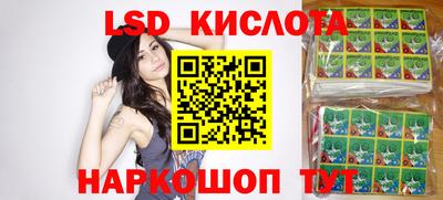 стафф Гатчина