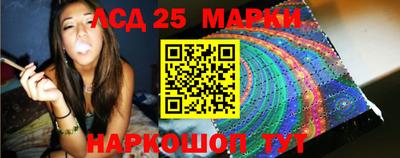 стафф Гатчина