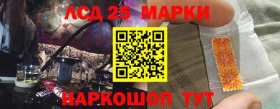 стафф Гатчина