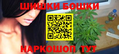 стафф Гатчина