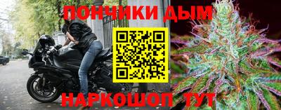 стафф Гатчина