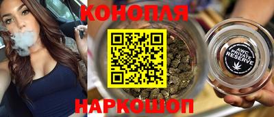 стафф Гатчина